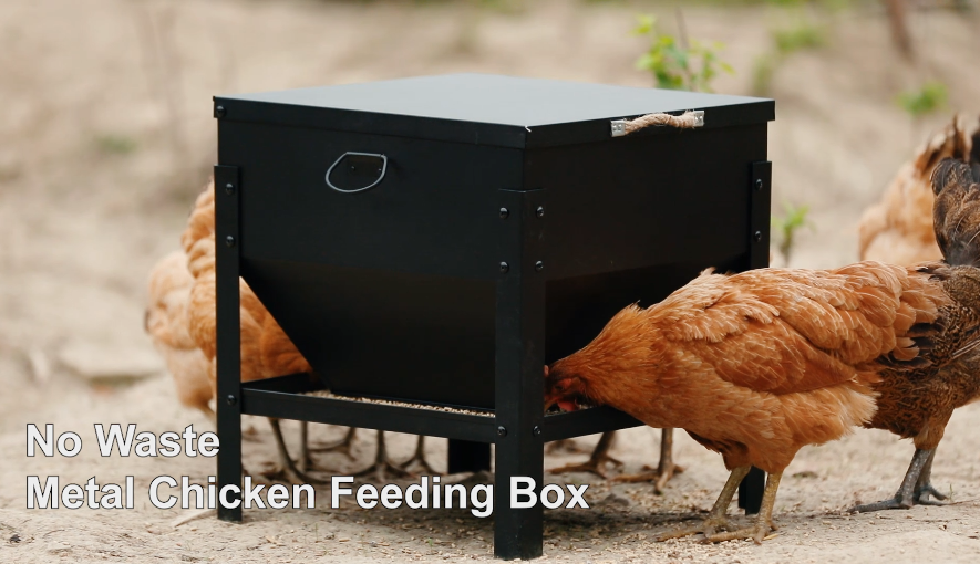 Amazon.com : Solution4Patio All Metal Chicken Feeding Box 80 lbs